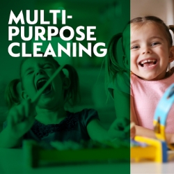 Picture of DETTOL SURFACE CLEANSER TRIGGER pm1.69 (No ROI)