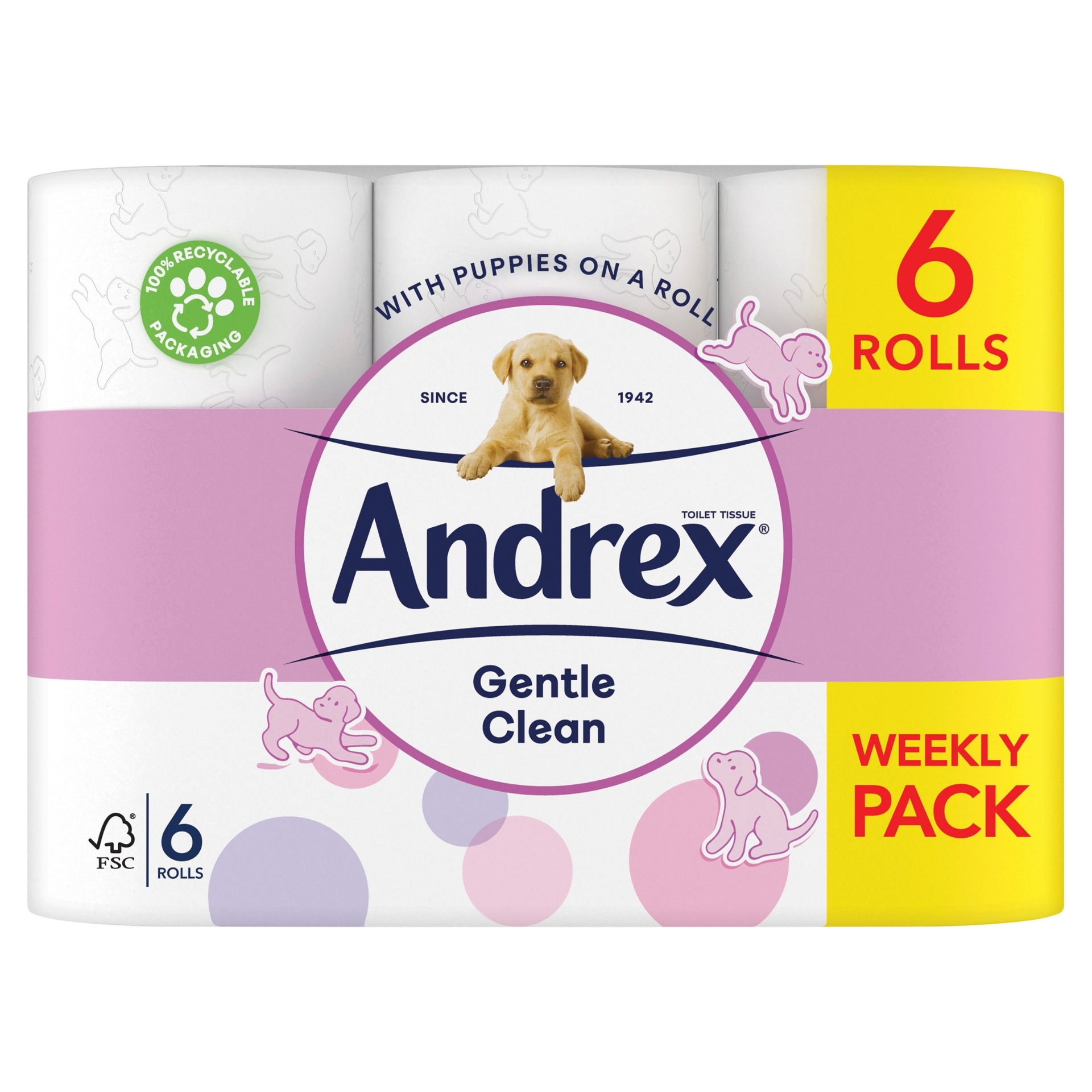 Picture of ANDREX TOILET ROLL GENTLE CLEAN 170sht (c) FSC®
