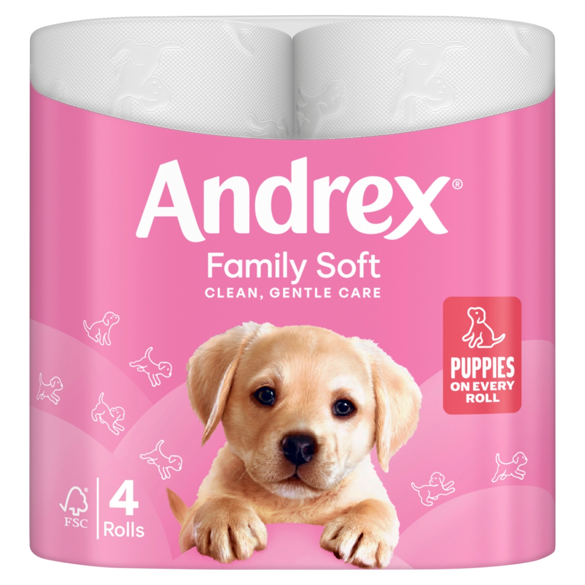 Picture of ANDREX TOILET ROLL FAMILY SOFT 2Ply 170sht FSC®