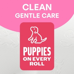 Picture of ANDREX TOILET ROLL FAMILY SOFT 2Ply 170sht FSC®