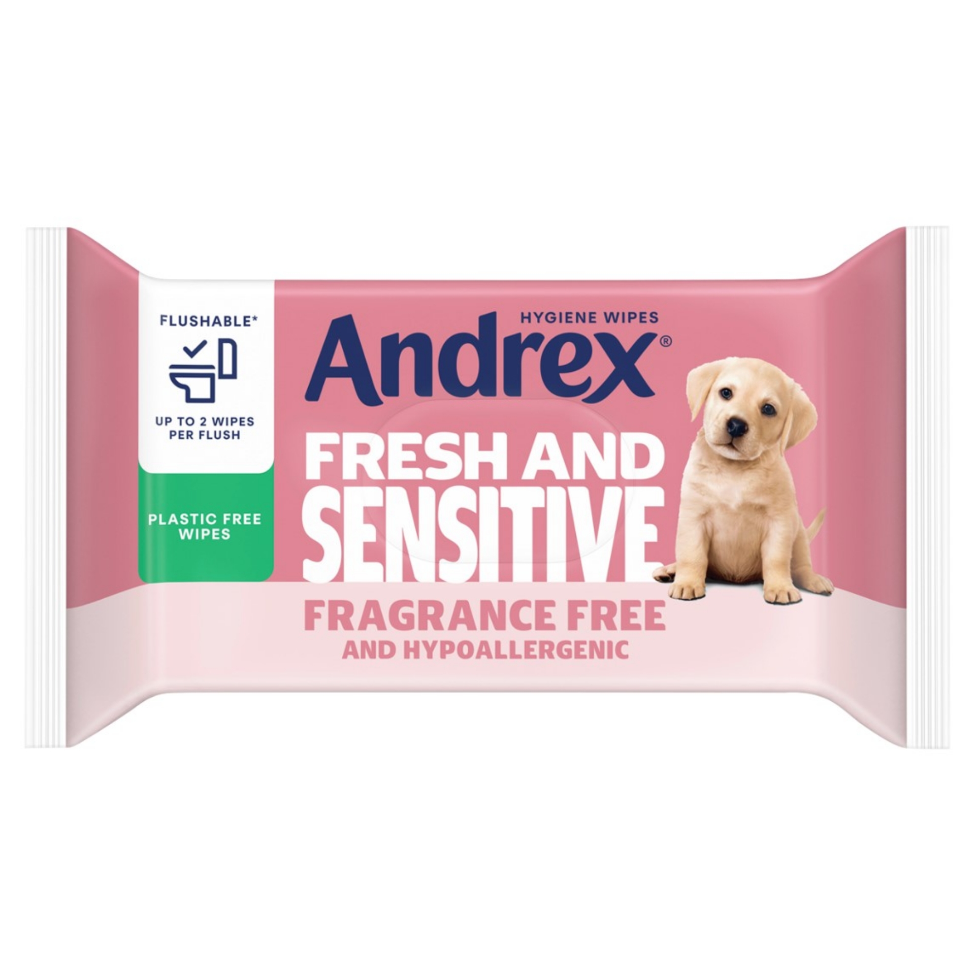 Picture of ANDREX HYGIENE WIPES - FRESH & SENSITIVE FSC®