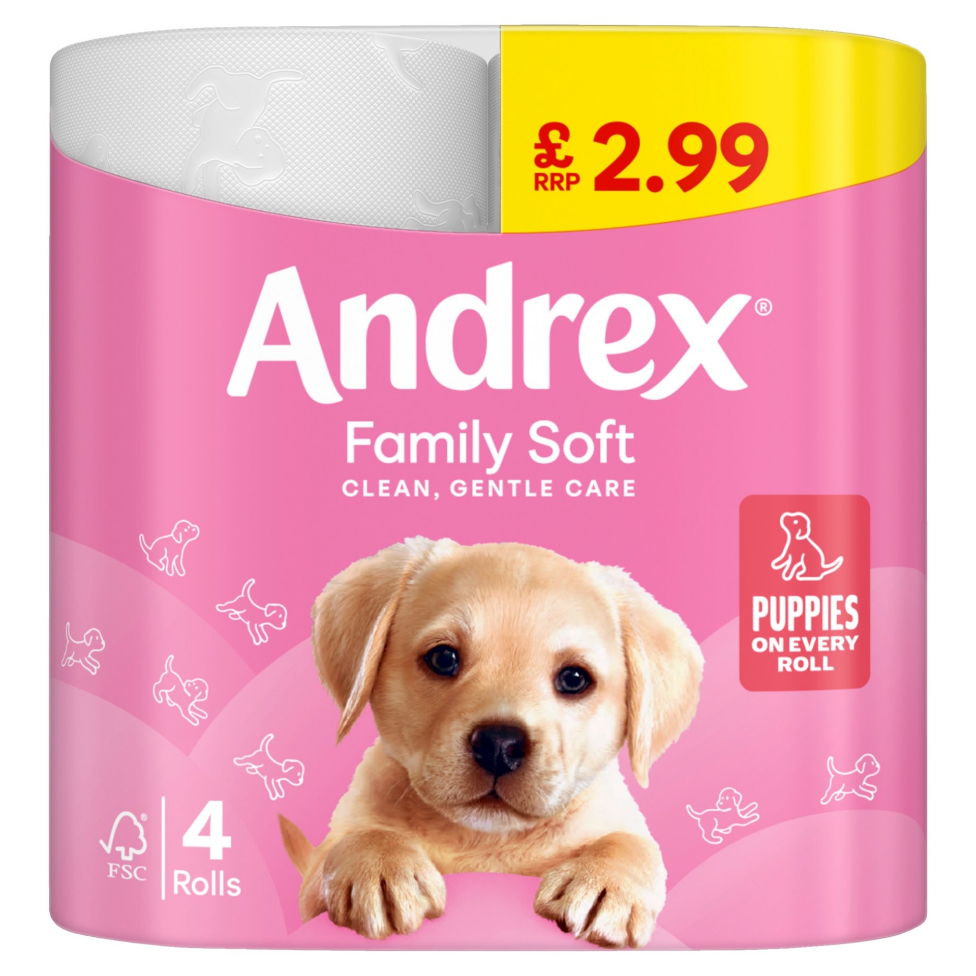 Picture of ANDREX TOILET ROLL FAMILY SOFT pm2.99 170sht FSC®